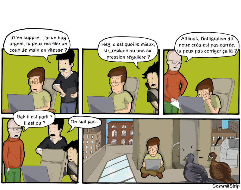 Focus, CTO, PM, Coder, DA, Disturbing